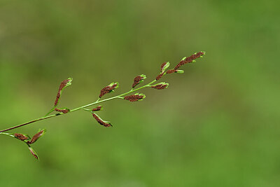 BUITEN BEELD Foto: 440050