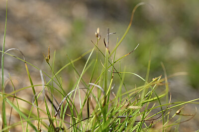 BUITEN BEELD Foto: 440053