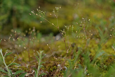 BUITEN BEELD Foto: 440055