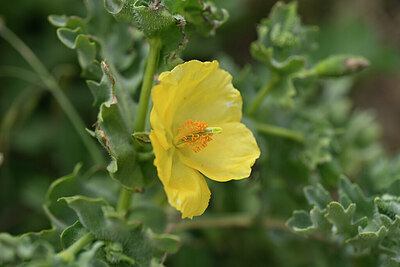 BUITEN BEELD Foto: 440057