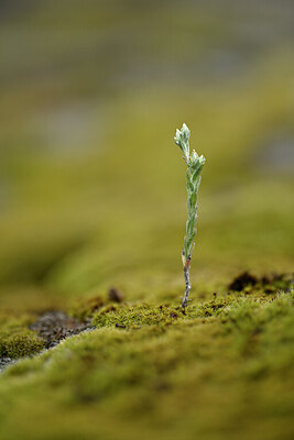 BUITEN BEELD Foto: 440060