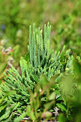 BUITEN BEELD Foto: 440061