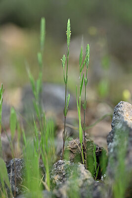 BUITEN BEELD Foto: 440084
