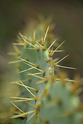 BUITEN BEELD Foto: 440085