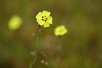 BUITEN BEELD Foto: 440113