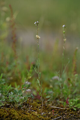 BUITEN BEELD Foto: 440115