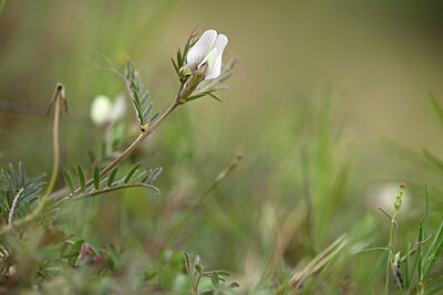 BUITEN BEELD Foto: 440124