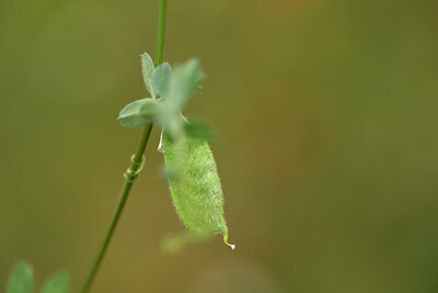 BUITEN BEELD Foto: 440125