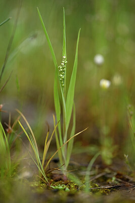 BUITEN BEELD Foto: 440129