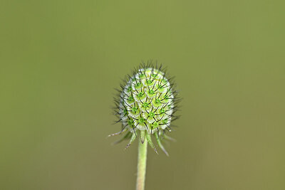 BUITEN BEELD Foto: 440132