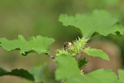 BUITEN BEELD Foto: 440138