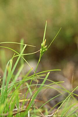 BUITEN BEELD Foto: 440161