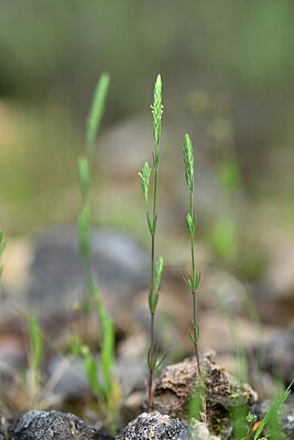 BUITEN BEELD Foto: 440169