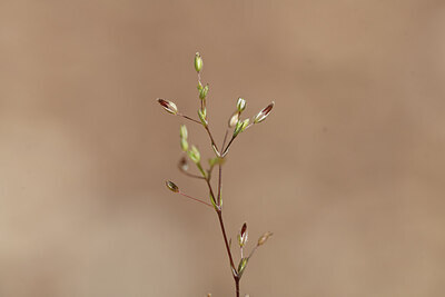 BUITEN BEELD Foto: 440174