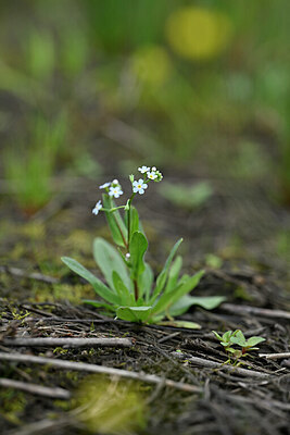 BUITEN BEELD Foto: 440180