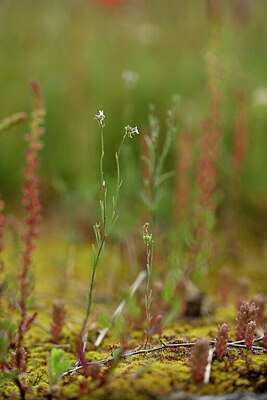 BUITEN BEELD Foto: 440196