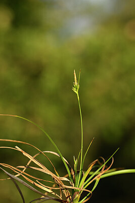 BUITEN BEELD Foto: 440201