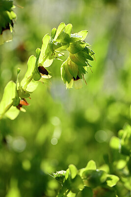 BUITEN BEELD Foto: 440211