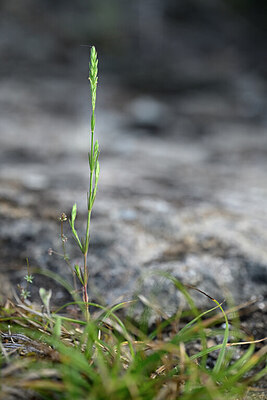 BUITEN BEELD Foto: 440224