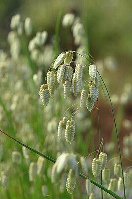 BUITEN BEELD Foto: 440228