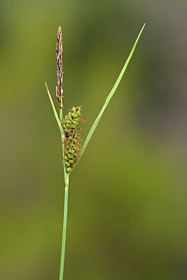 BUITEN BEELD Foto: 440233