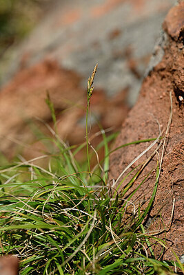 BUITEN BEELD Foto: 440235