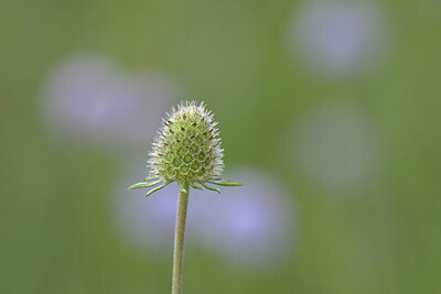 BUITEN BEELD Foto: 440259