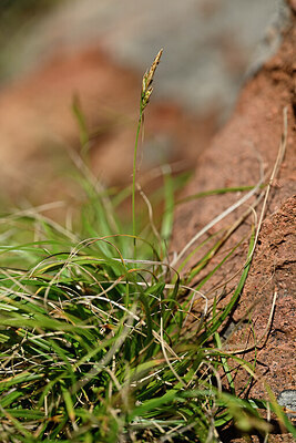 BUITEN BEELD Foto: 440272