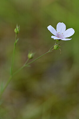 BUITEN BEELD Foto: 440283