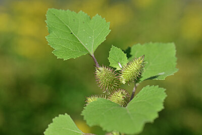 BUITEN BEELD Foto: 440296