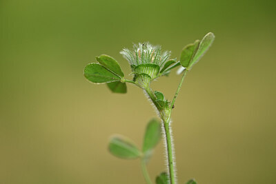 BUITEN BEELD Foto: 440298