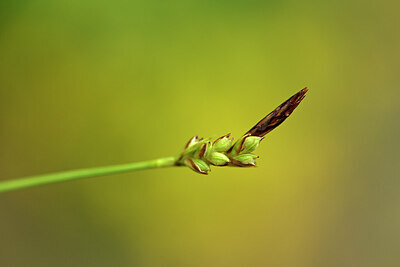 BUITEN BEELD Foto: 440311