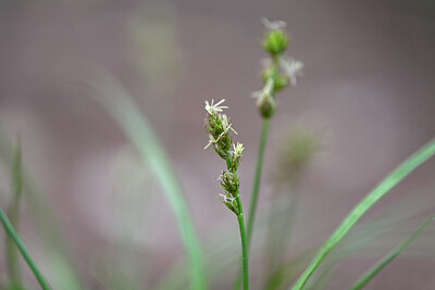 BUITEN BEELD Foto: 440314