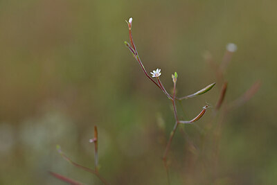 BUITEN BEELD Foto: 440316