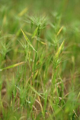 BUITEN BEELD Foto: 440325