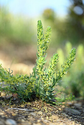 BUITEN BEELD Foto: 440340