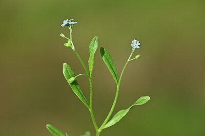 BUITEN BEELD Foto: 440346