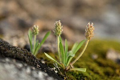 BUITEN BEELD Foto: 440357