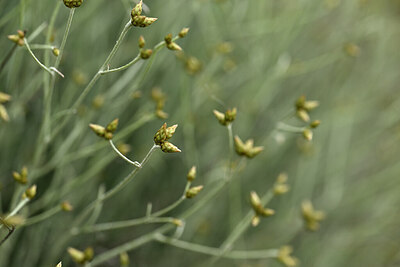 BUITEN BEELD Foto: 440360