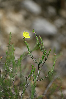 BUITEN BEELD Foto: 440366