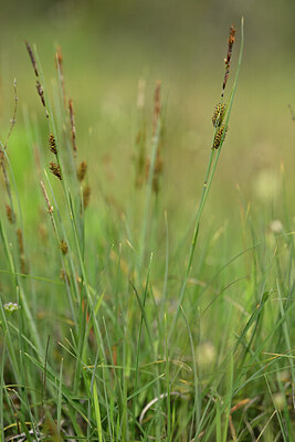 BUITEN BEELD Foto: 440380