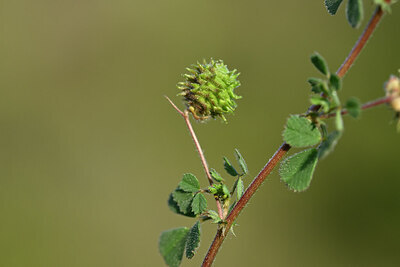 BUITEN BEELD Foto: 440382