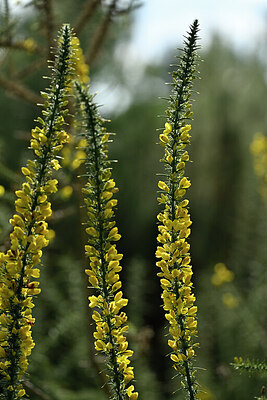BUITEN BEELD Foto: 440402