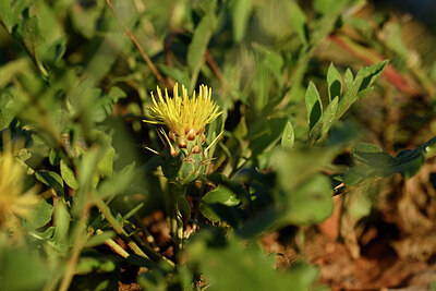 BUITEN BEELD Foto: 440403