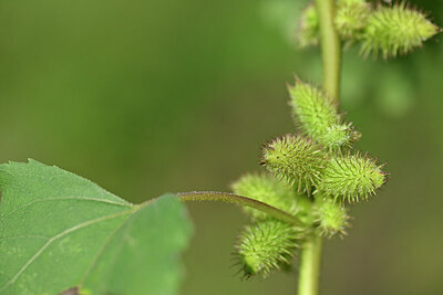 BUITEN BEELD Foto: 440409