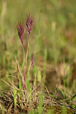 BUITEN BEELD Foto: 440413
