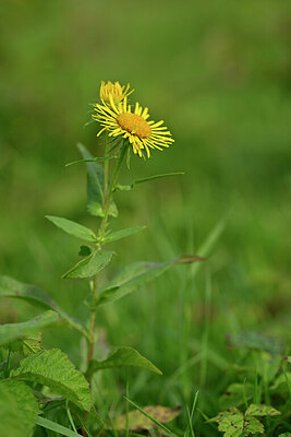 BUITEN BEELD Foto: 440435