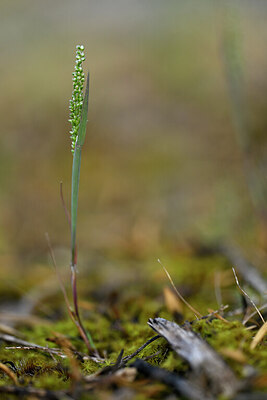 BUITEN BEELD Foto: 440437