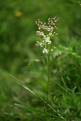 BUITEN BEELD Foto: 440440