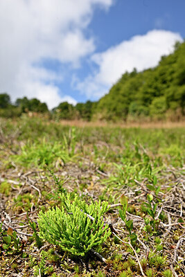 BUITEN BEELD Foto: 440444